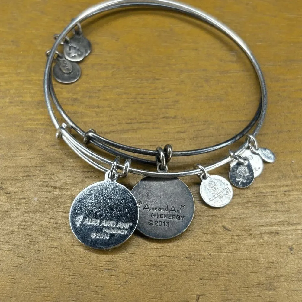 Alex and Ani alex ani